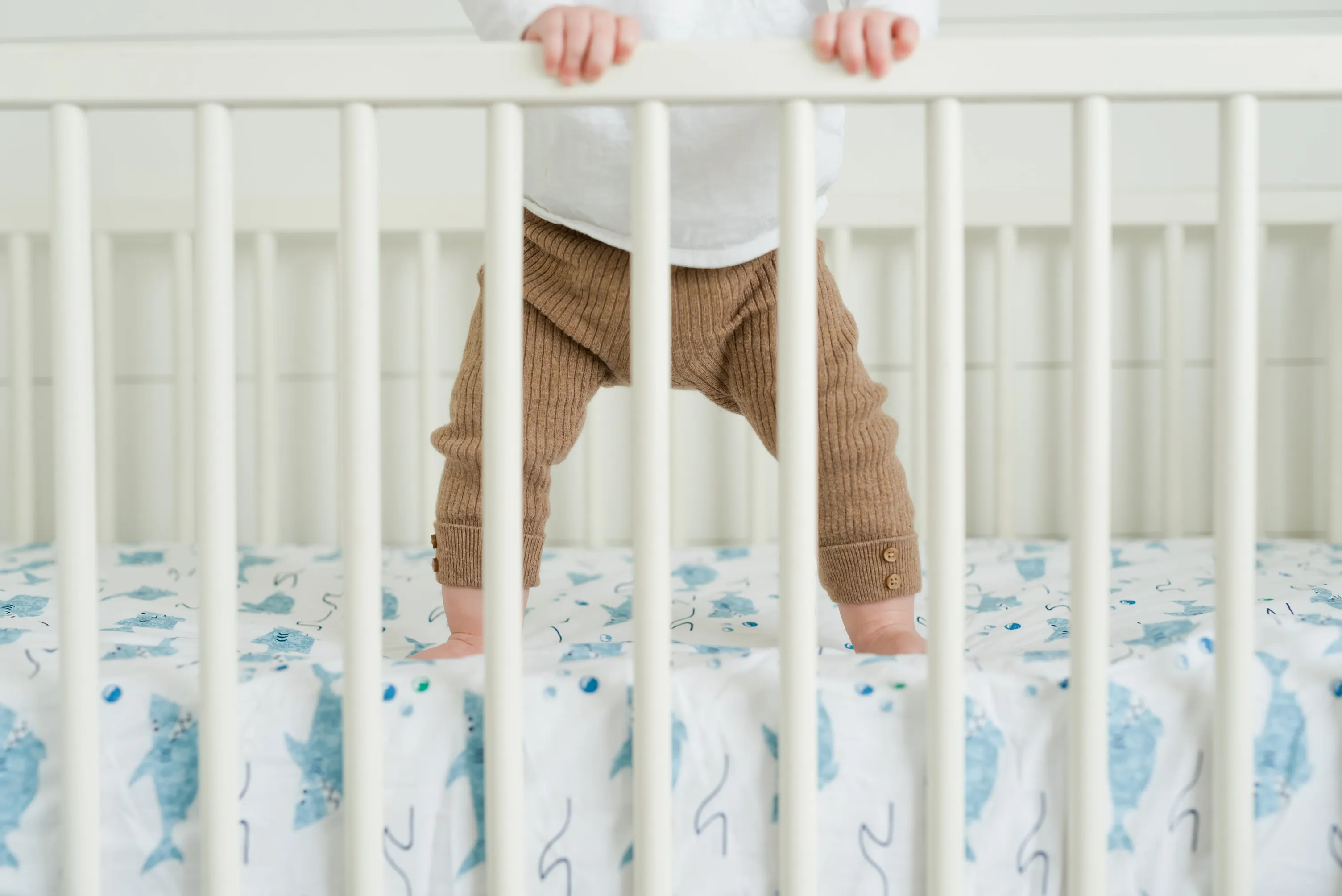100% Cotton Fitted Crib Sheet - Sharks