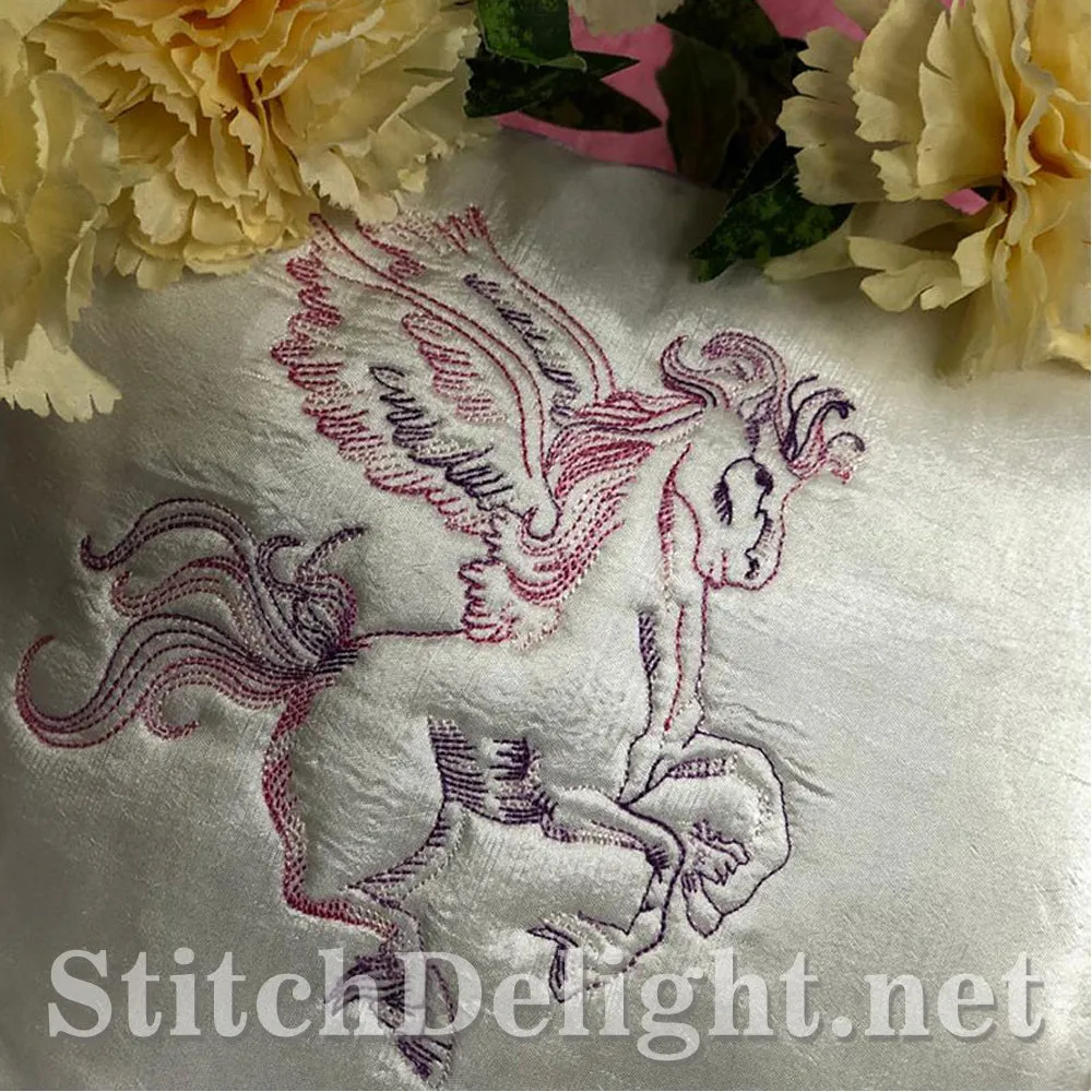 AE036 RW Pegasus