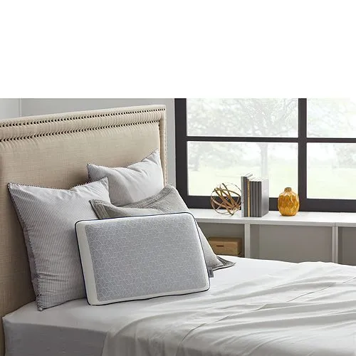 Gel Memory Foam Chill Pillow, Standard Sealy, White